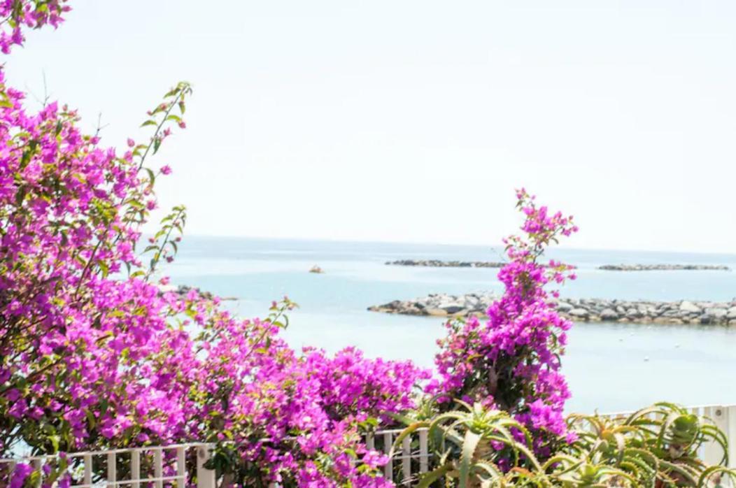 Rosa Centralissimo Sanremo Exterior foto
